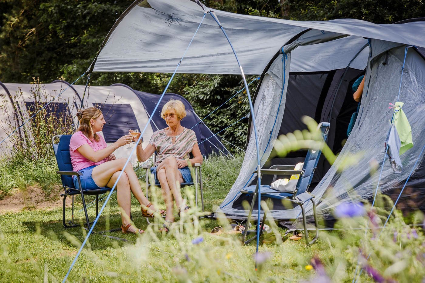 Vakantie naar Camping Siesta in Antwerpen in België