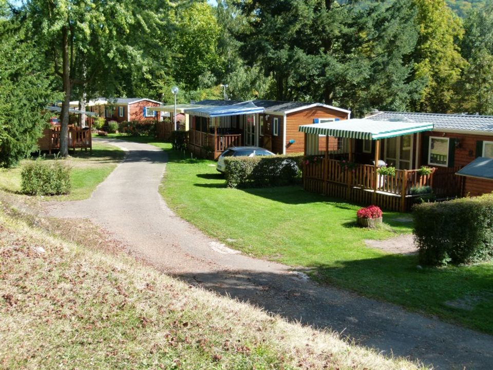 Vakantie naar Camping Tohapi Ile du Rhin in Biesheim in Frankrijk