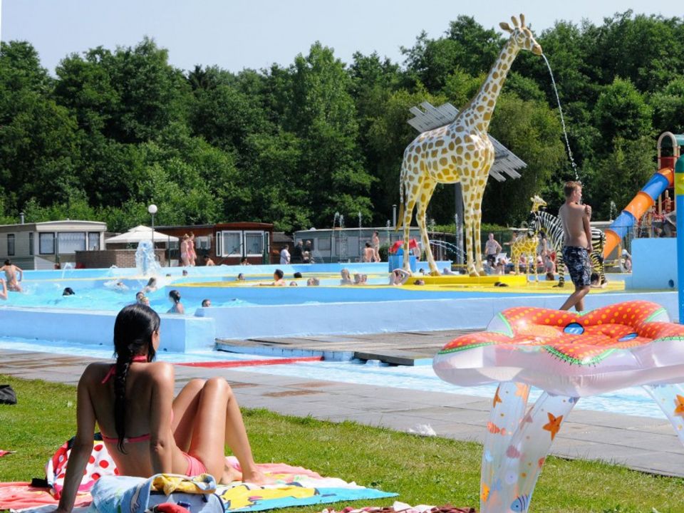 Vakantie naar Camping Wilhelm Tell in Opglabbeek in Belgie