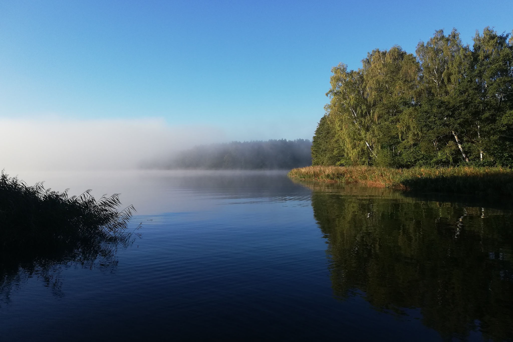 Vakantie naar Campingplatz am Garder See in Mecklenburg Voor Pommeren in Duitsland