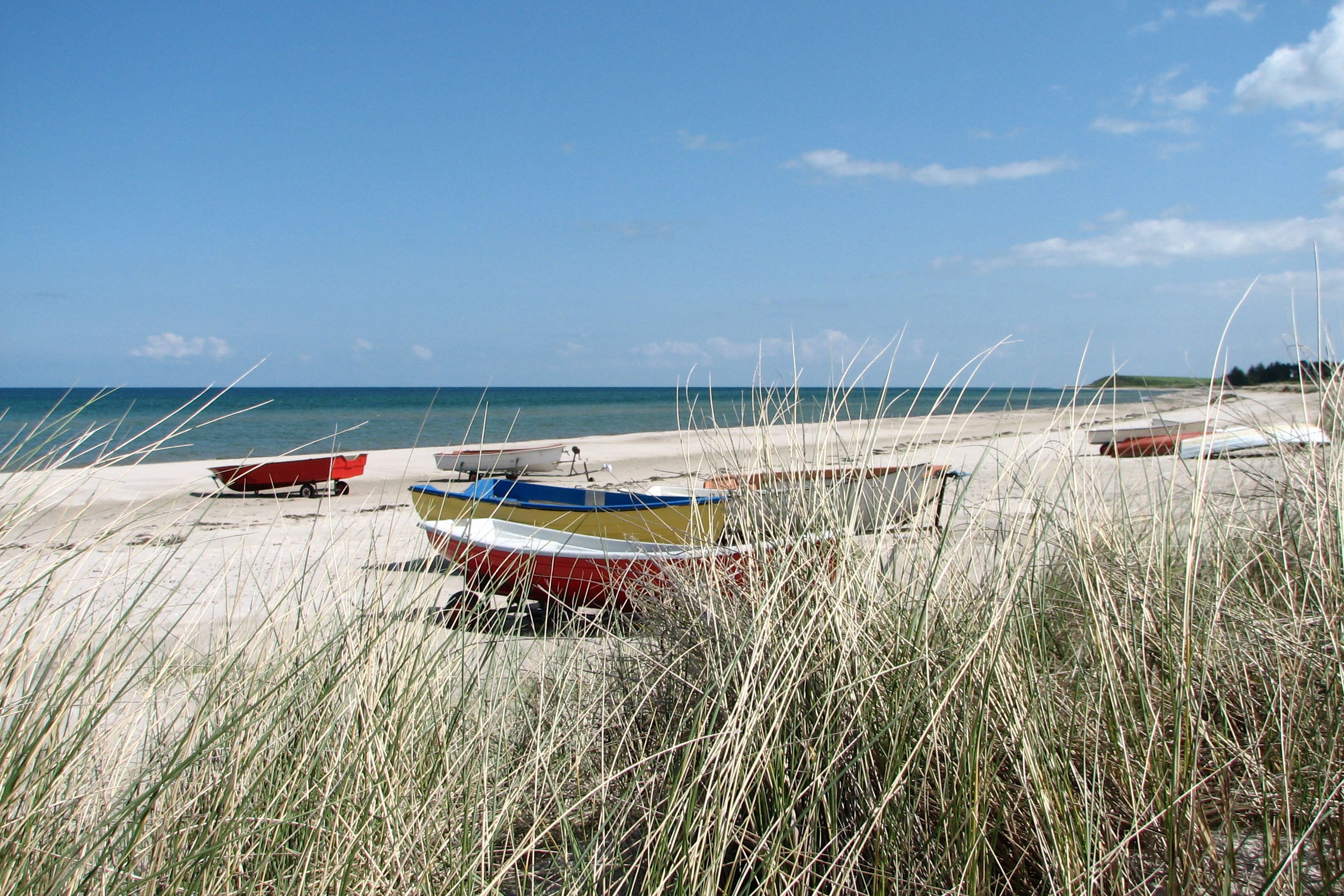 Vakantie naar Dalgård Camping in Midden Jutland in Denemarken