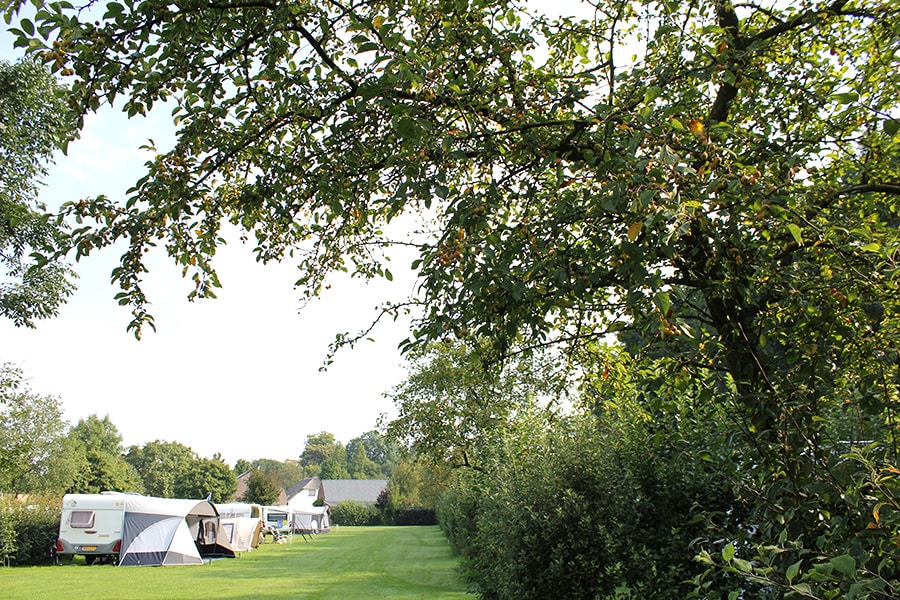 Vakantie naar De Betuwe Hoeve in Gelderland in Nederland