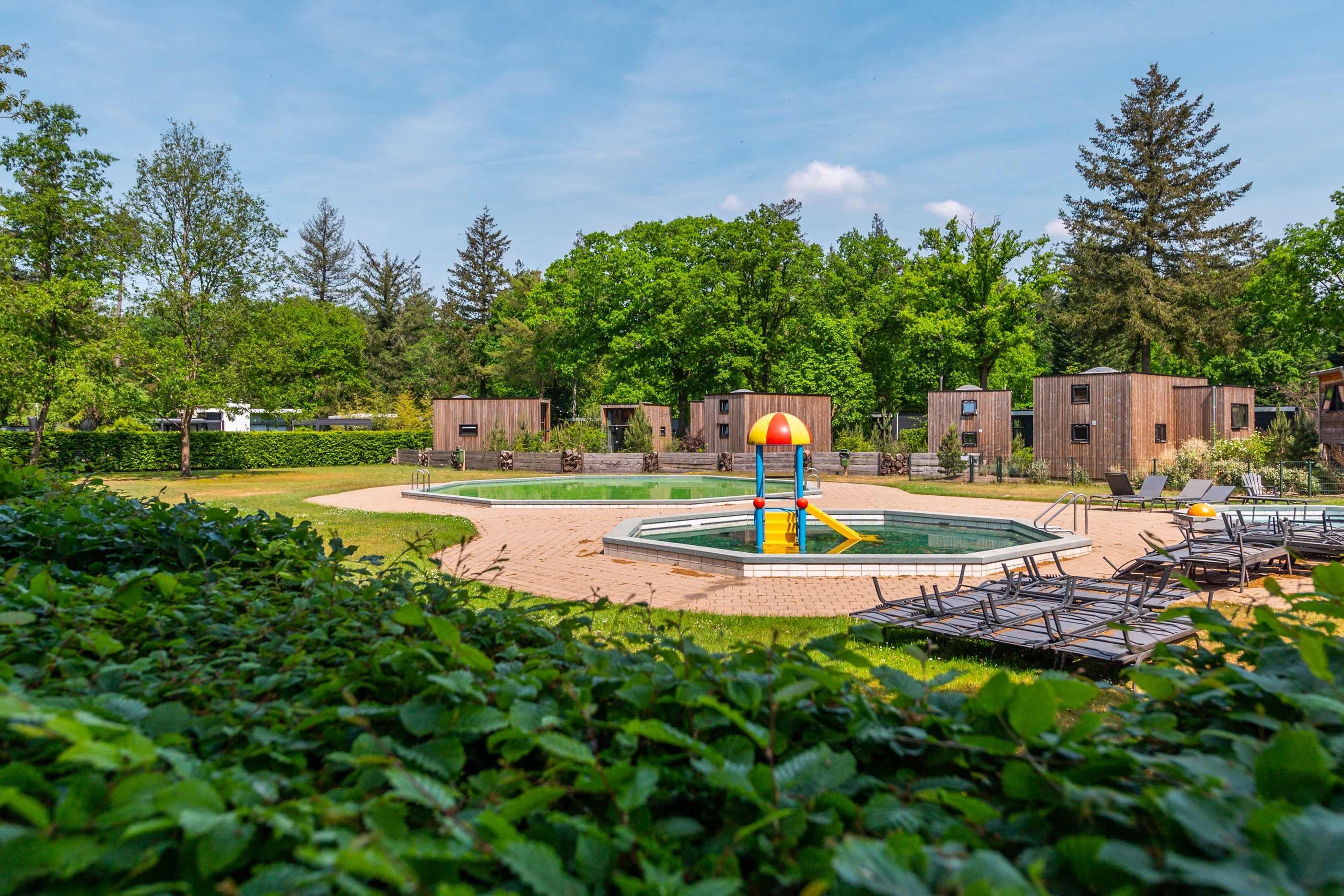 Vakantie naar EuroParcs De Hooge Veluwe in Gelderland in Nederland