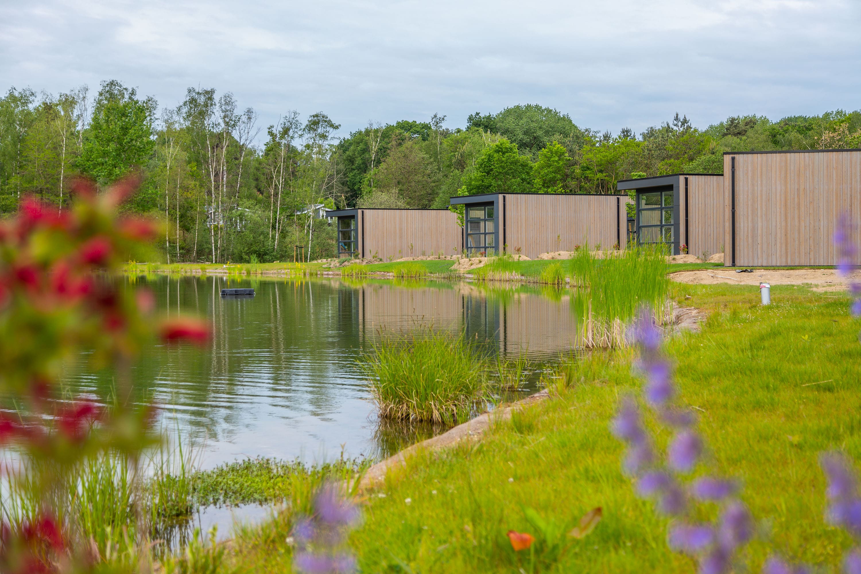 Vakantie naar EuroParcs Maasduinen in Limburg in Nederland