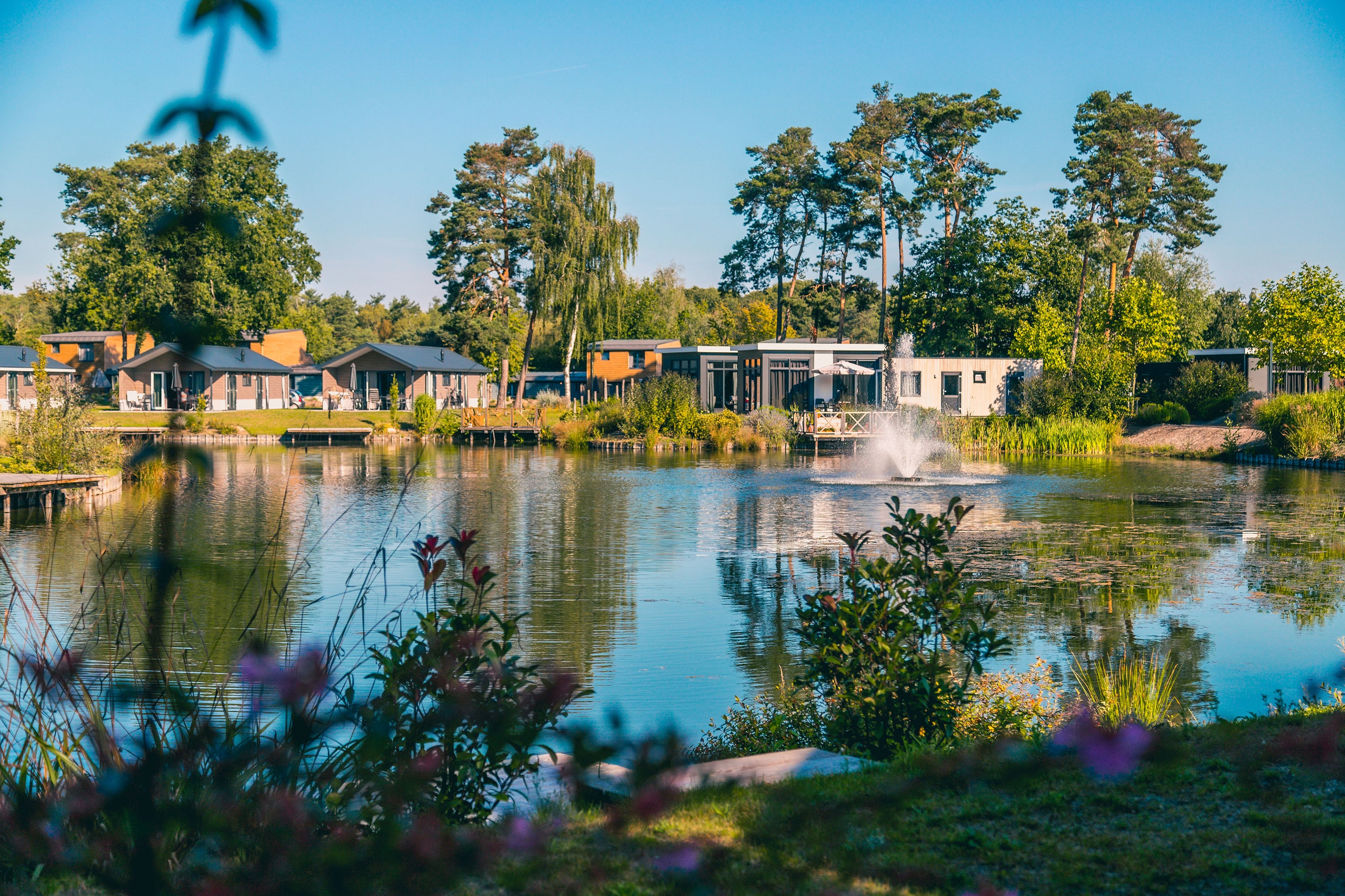 Vakantie naar EuroParcs Zilverstrand in Antwerpen in België