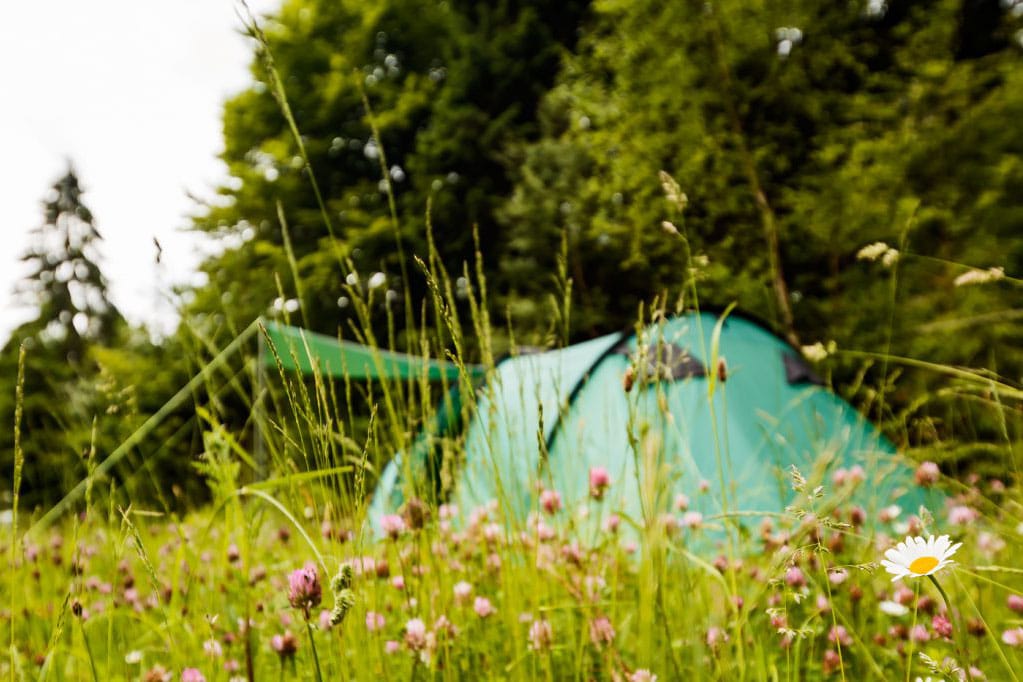 Vakantie naar Ferienpark Thüringer Wald in Thüringen in Duitsland