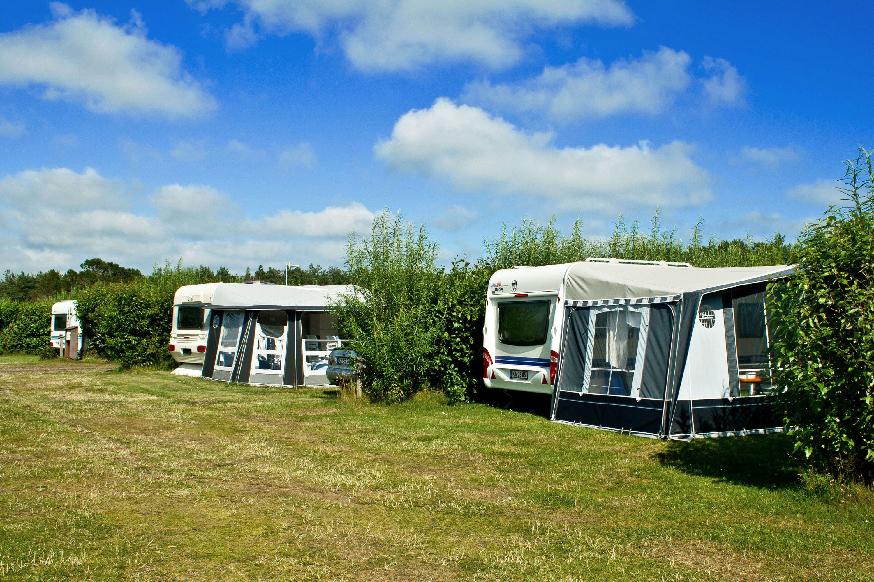 Vakantie naar First Camp Råbjerg Mile   Skagen in Noord Jutland in Denemarken