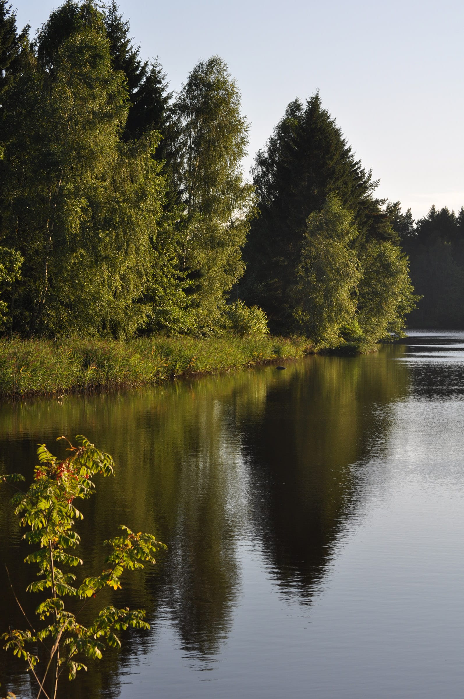 Haarstubencampingplatz Reingers vanaf € € 98,00!