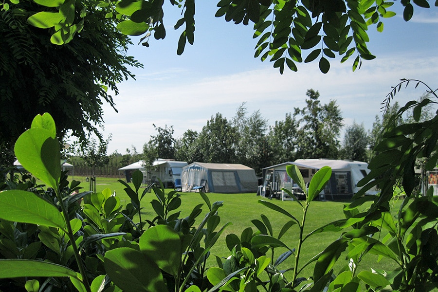 Vakantie naar Minicamping De Vijverhof in Gelderland in Nederland