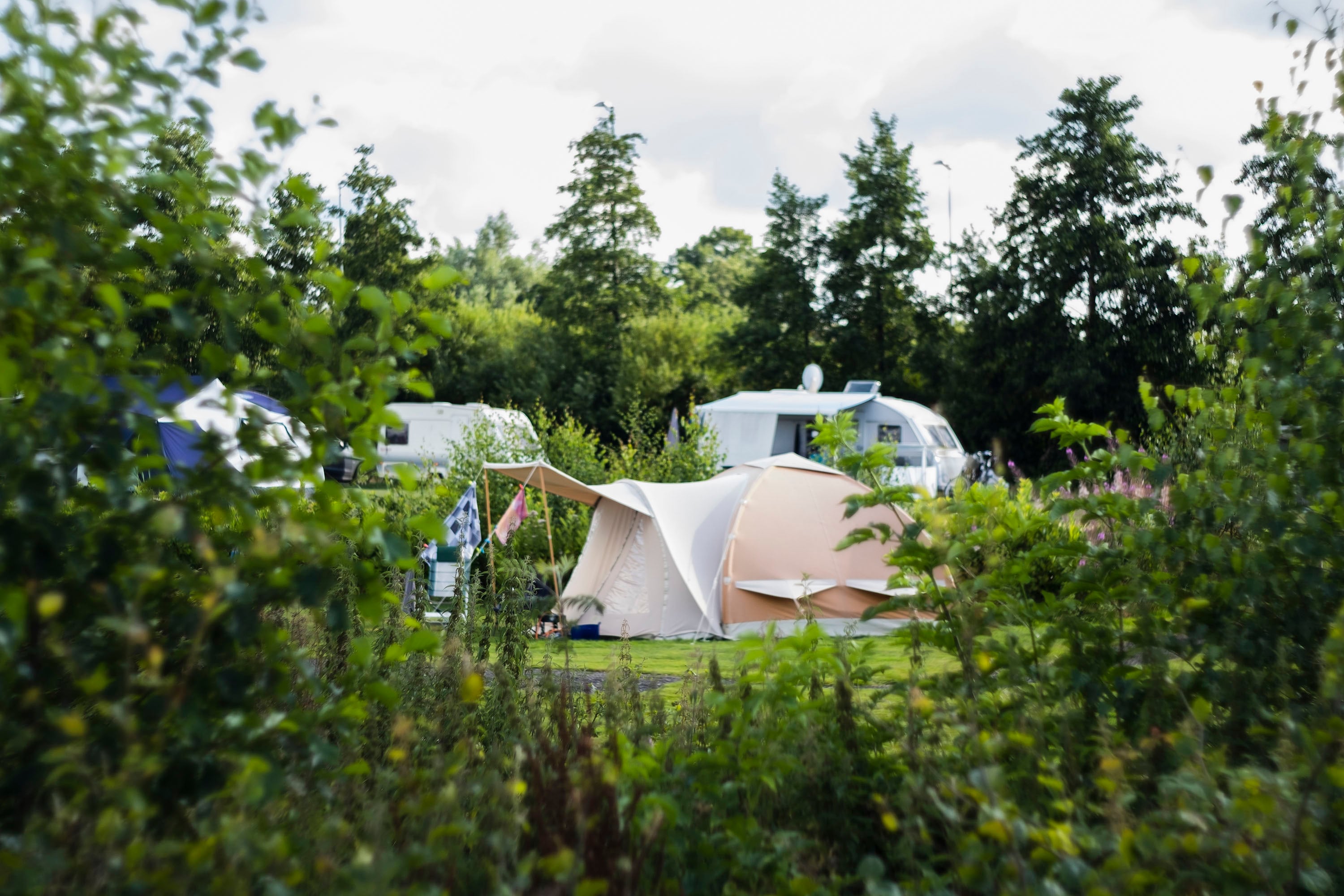 Vakantie naar Natuurlijk de Veenhoop in Friesland in Nederland