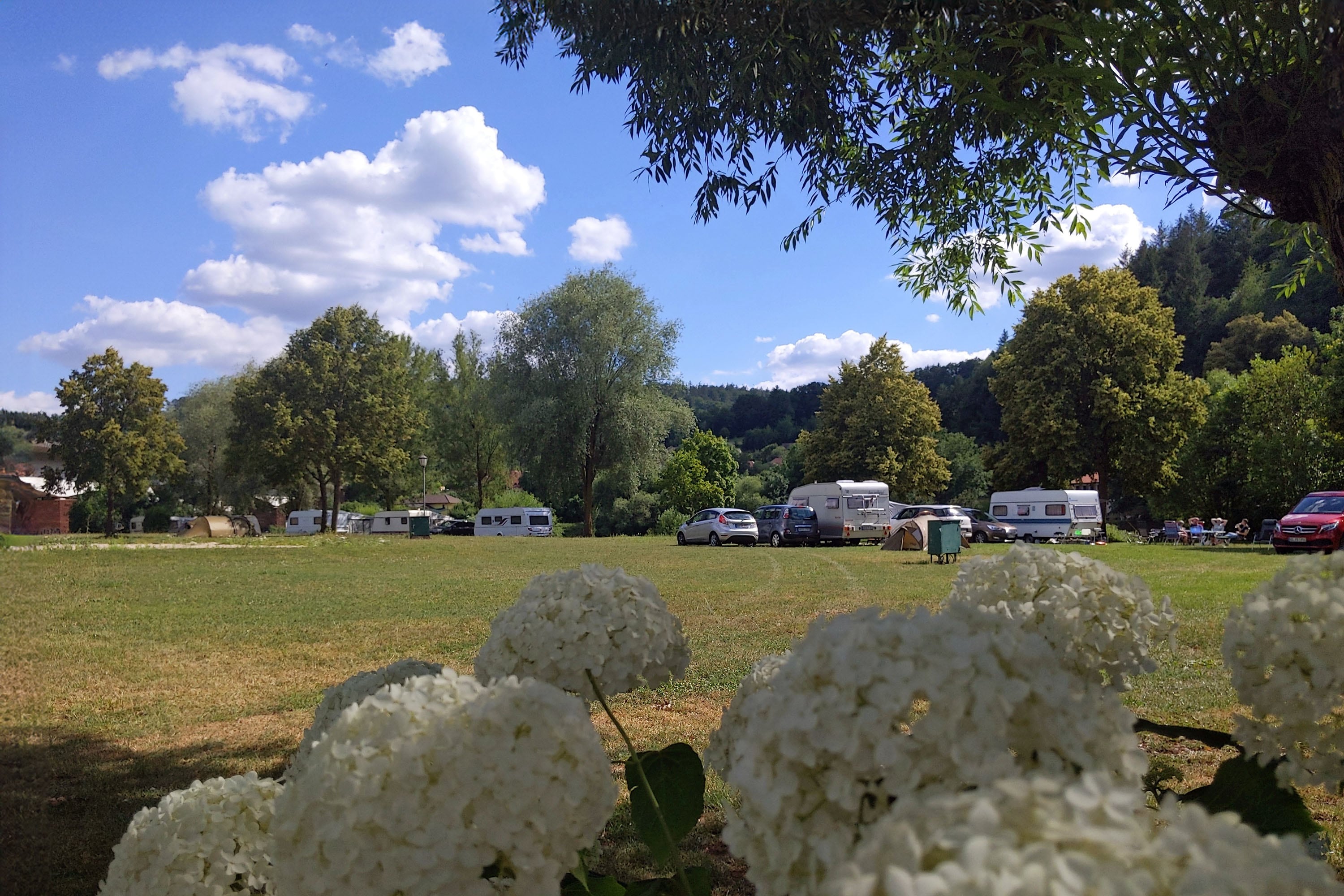 Vakantie naar Odenwald River Camp in Baden Württemberg in Duitsland