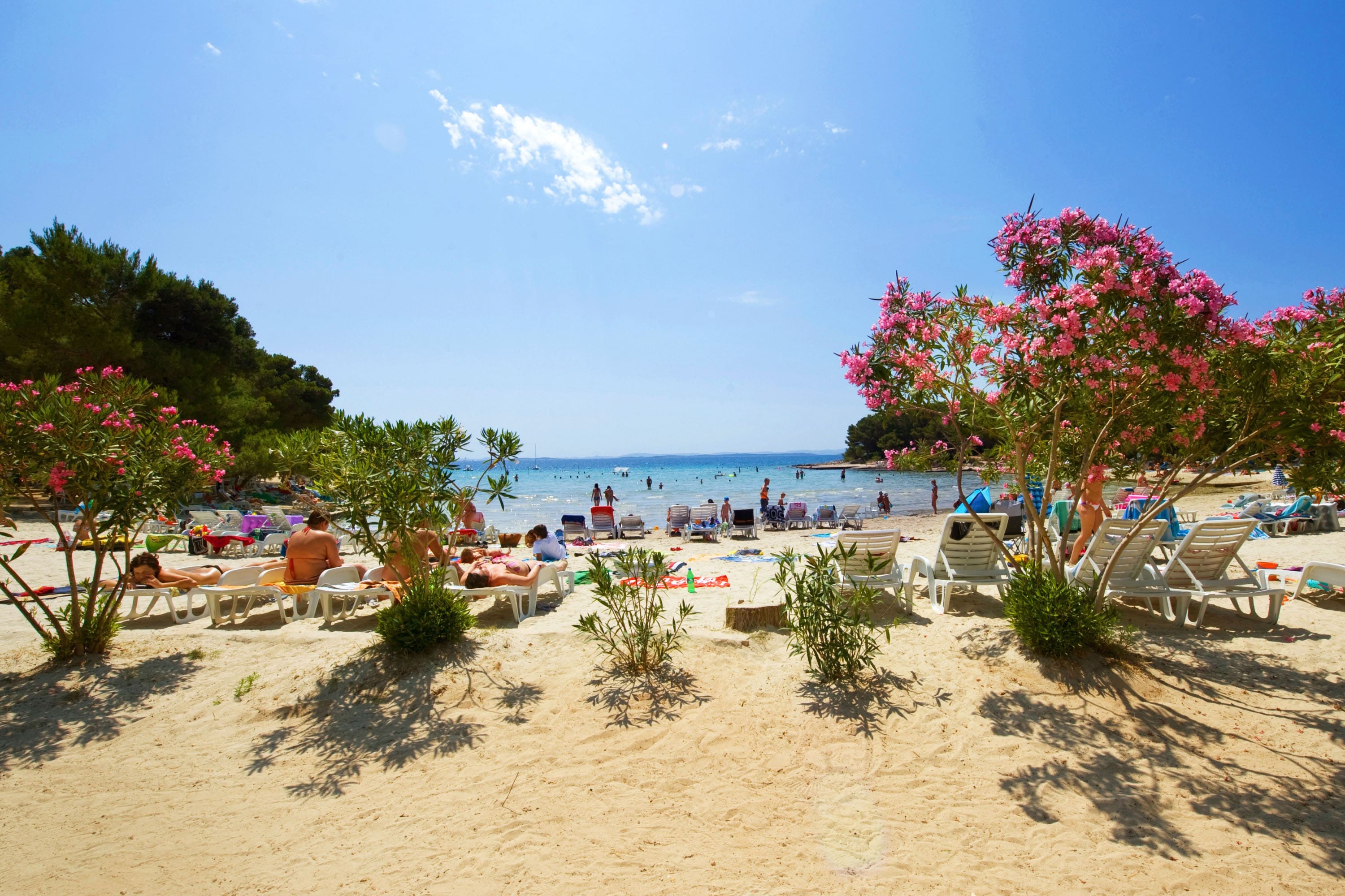 Vakantie naar Pine Beach Pakoštane in Pakoštane in Kroatië