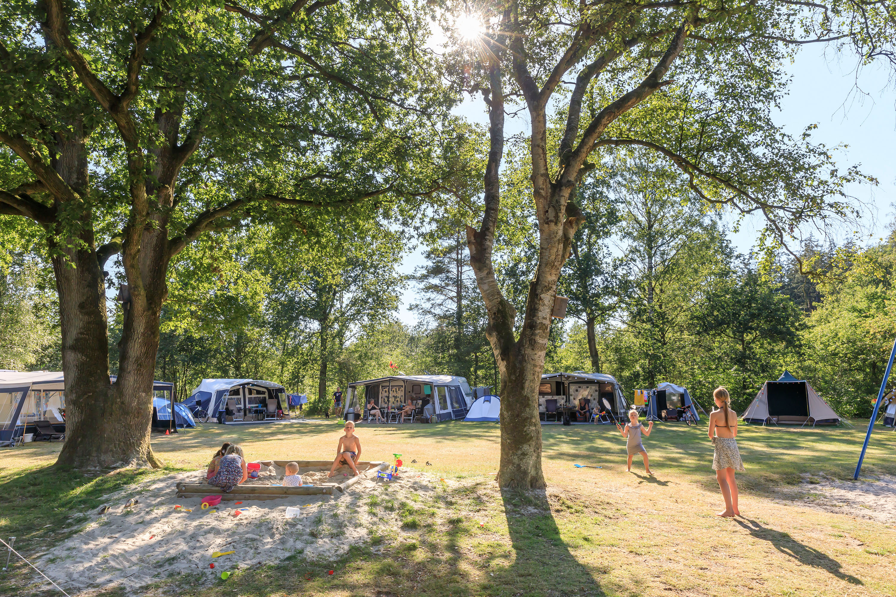 Vakantie naar RCN de Roggeberg in Friesland in Nederland