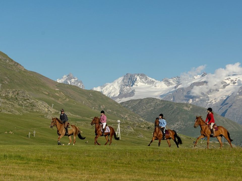 Résidence Chalet Alpenvue vanaf € 1010,-!