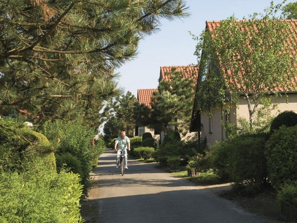 Vakantie naar Roompot Kustpark Klein Poelland in Renesse in Nederland