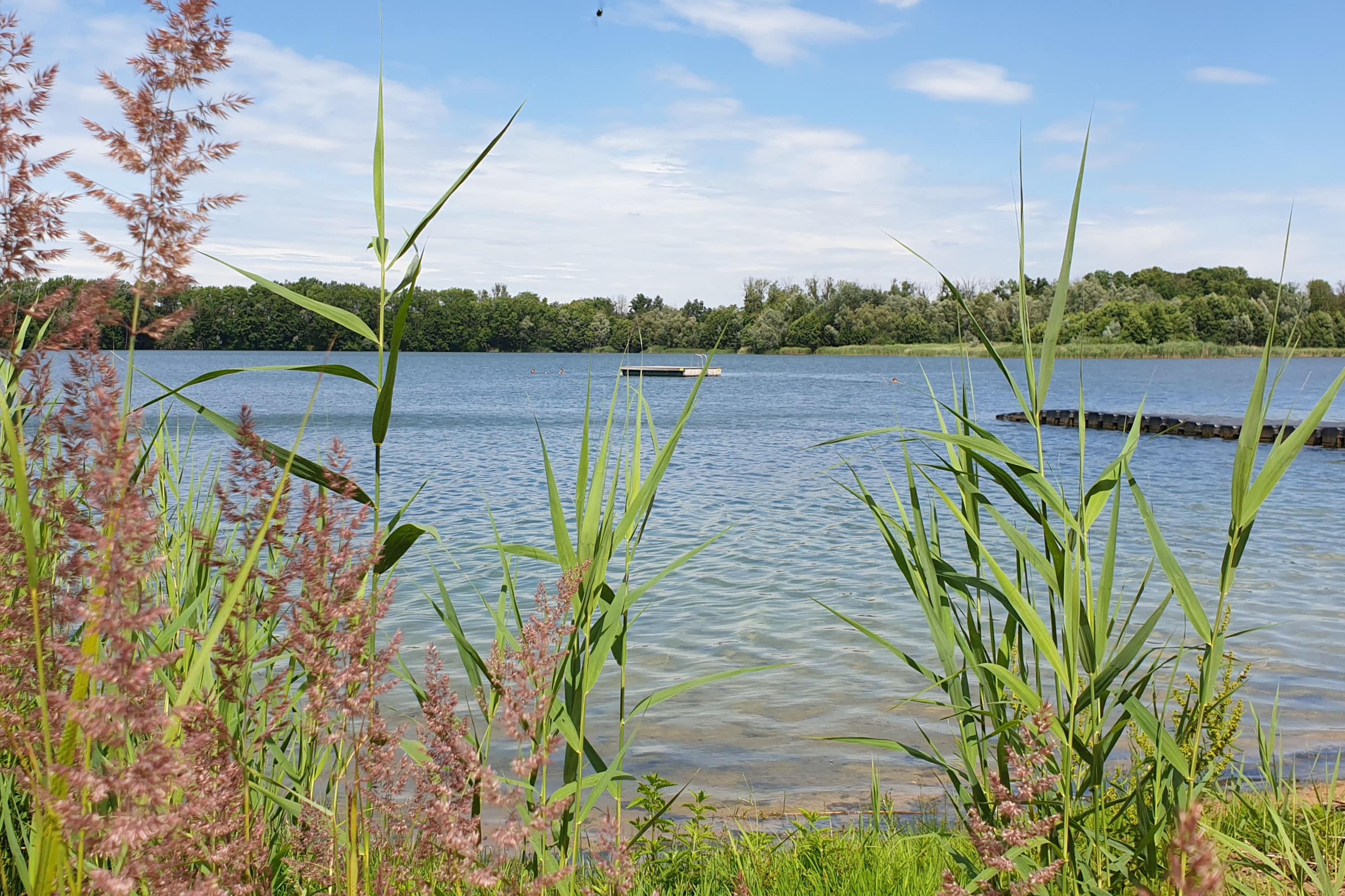 Vakantie naar Strandbad & Camping Oderbruch am Baggersee Gusow in Brandenburg in Duitsland