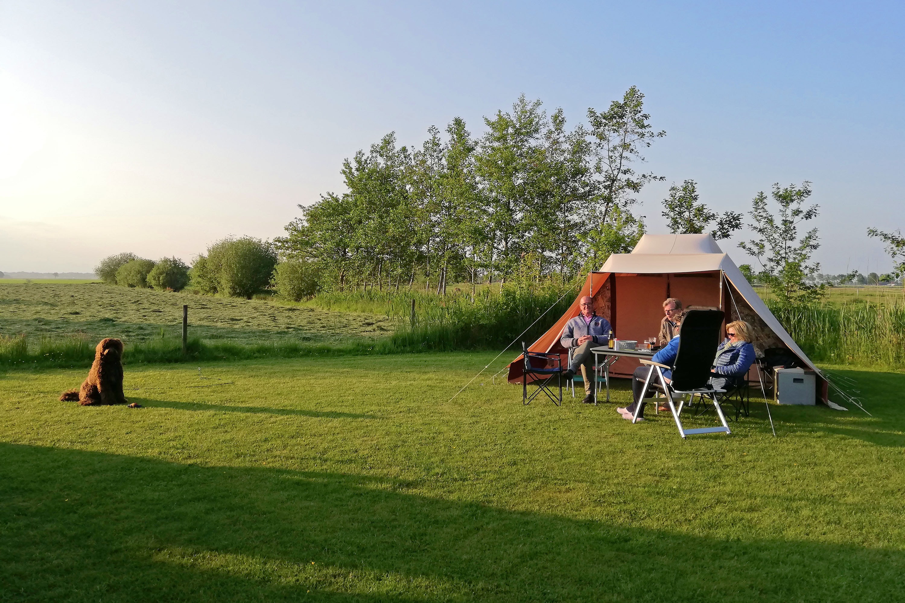 Vakantie naar Vakantiepark De Toffe Peer in Drenthe in Nederland